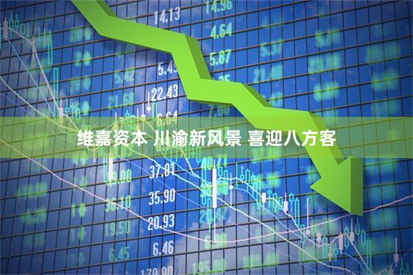 维嘉资本 川渝新风景 喜迎八方客